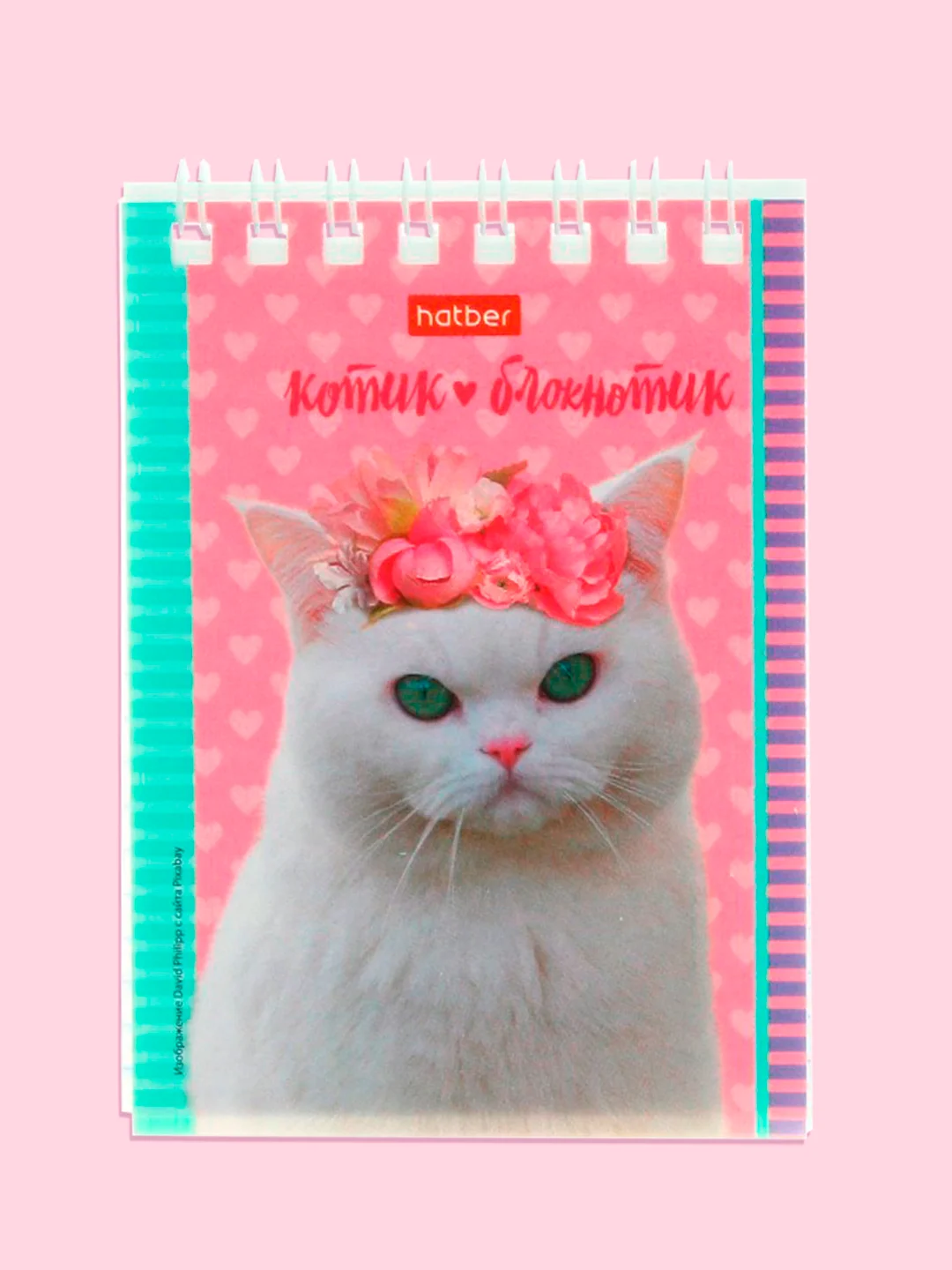 Красный блокнот/скетчбук/ежедневник/записная книжка/смешбук/кешбук с котиками, котоблокнот