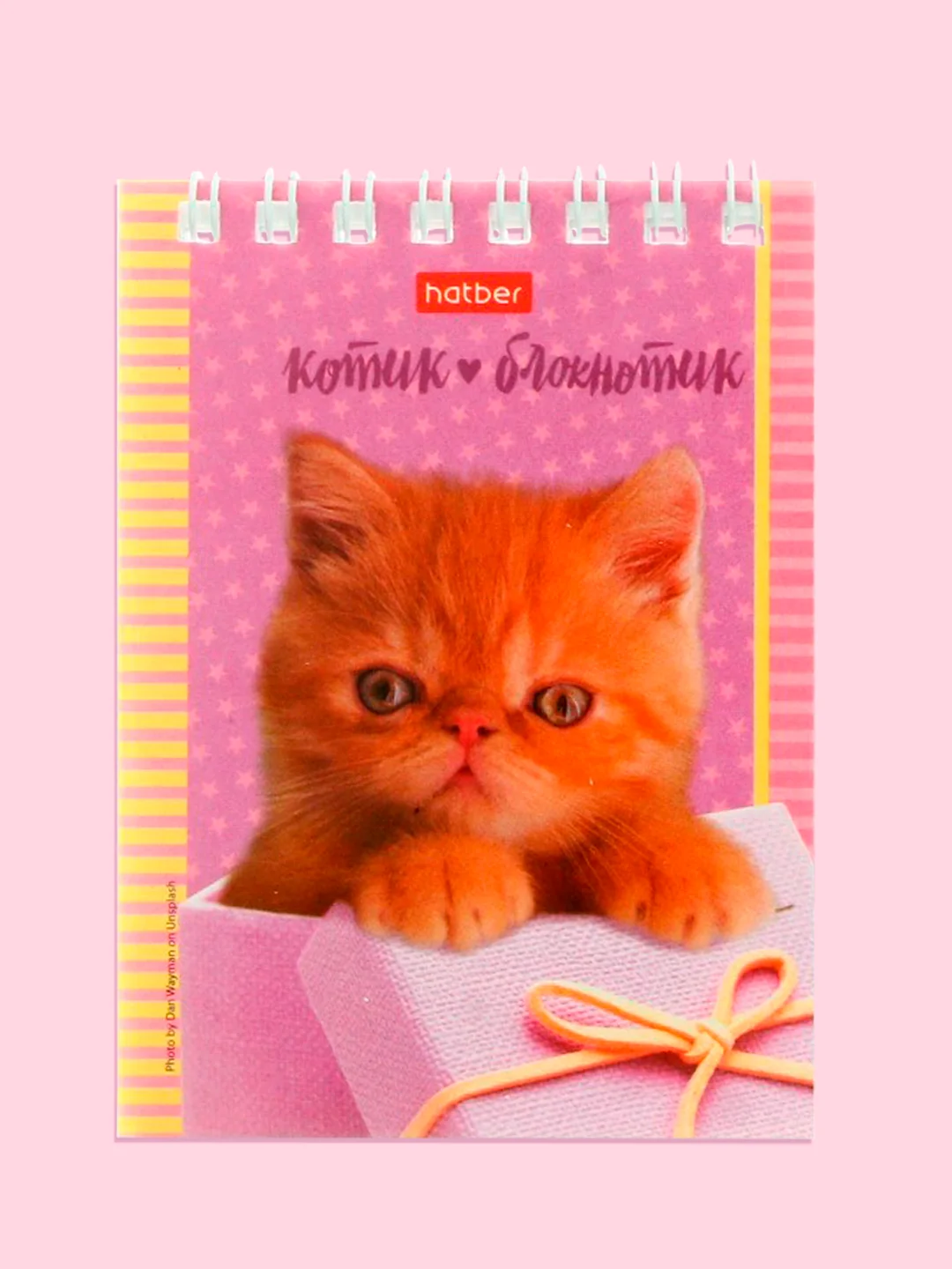 Кремовый блокнот/скетчбук/ежедневник/записная книжка/смешбук/кешбук с котиками, котоблокнот
