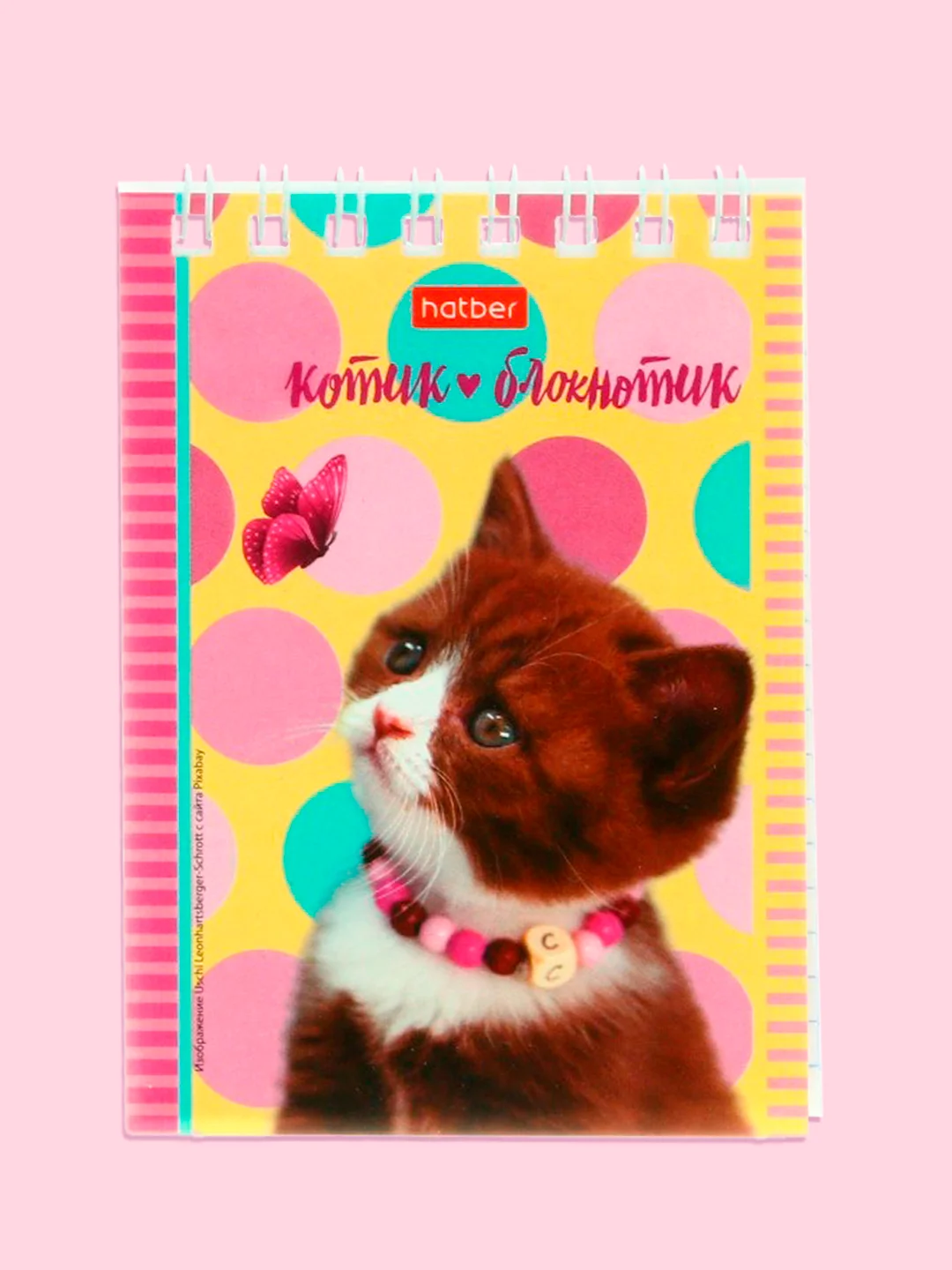 Кремовый блокнот/скетчбук/ежедневник/записная книжка/смешбук/кешбук с котиками, котоблокнот