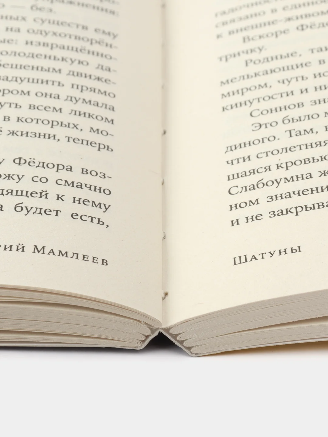 Шатуны