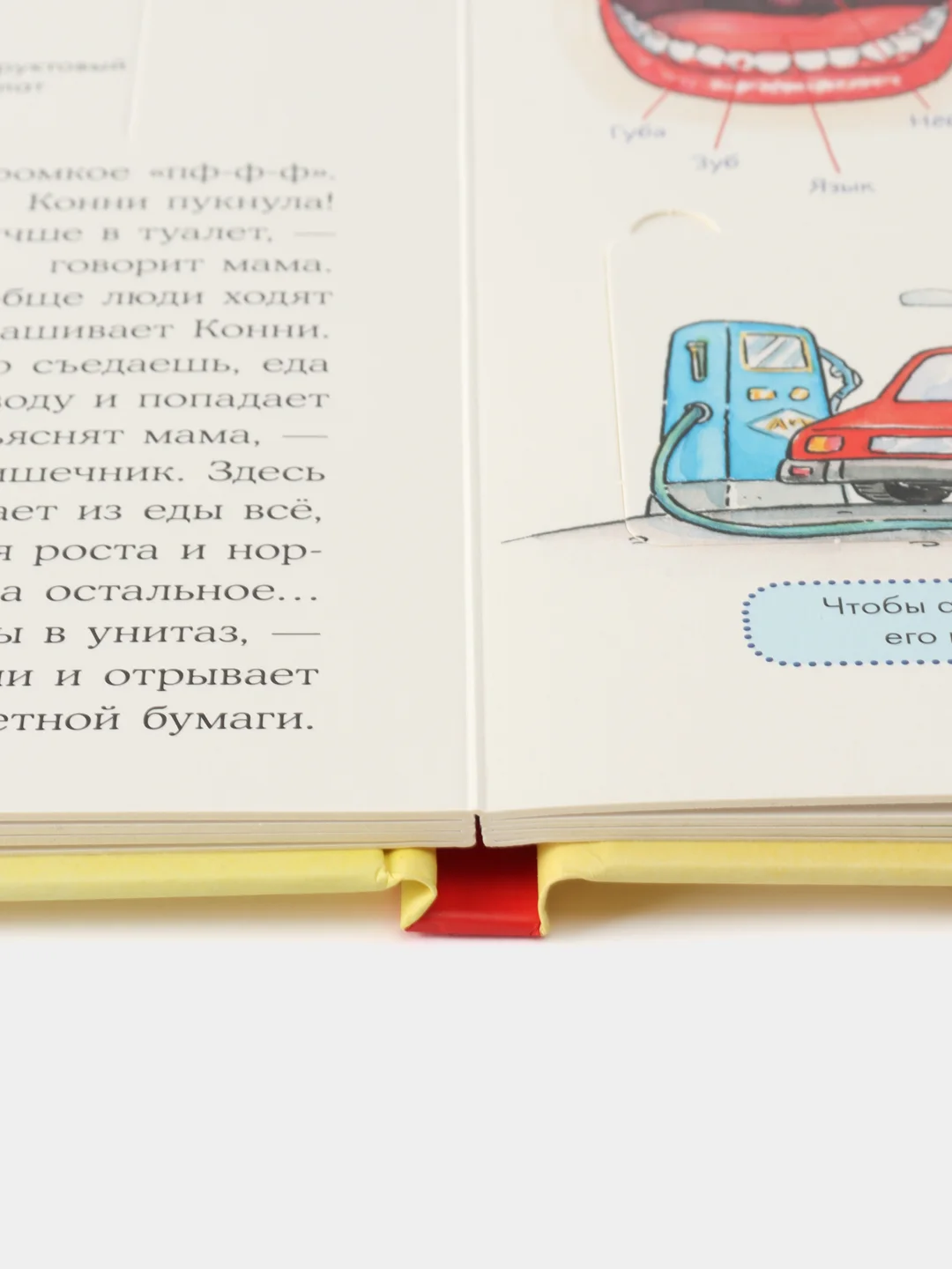 Конни изучает тело (картон)