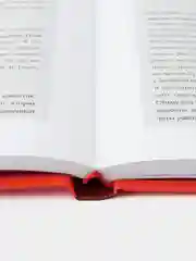 Руководство разумного инвестора: Получение прибыли на фондовом рынке (дополненное издание)