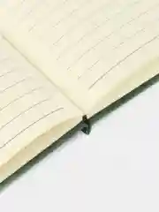 Зеленый ежедневник, блокнот с застежкой