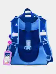 Рюкзак школьный Brauberg Premium, для девочки, 2 отделения
