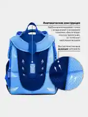 Рюкзак школьный Brauberg Premium, для девочки, 2 отделения