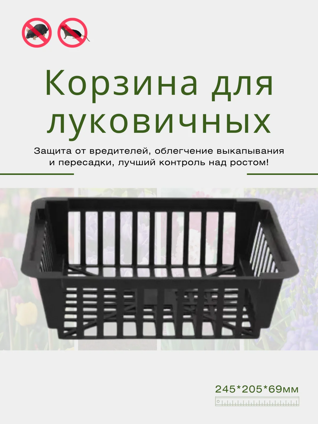 Хром корзина для луковичных круглая, квадратная, защита от вредителей, уход за растениями