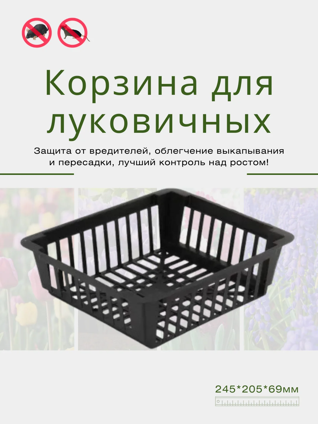 Черный корзина для луковичных круглая, квадратная, защита от вредителей, уход за растениями