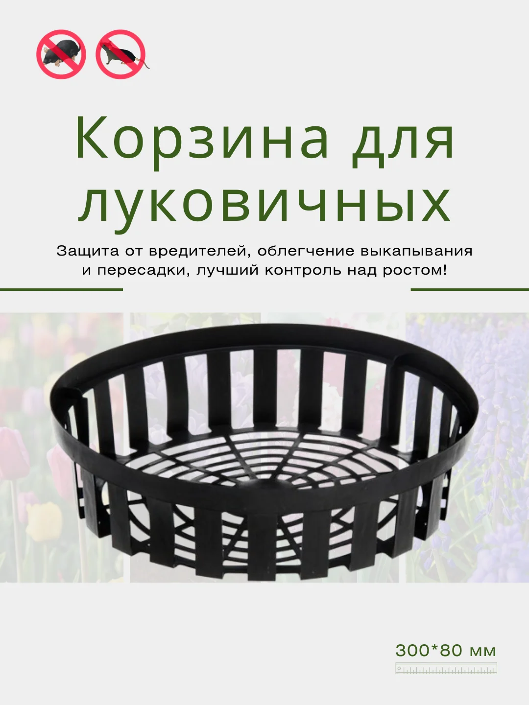 Хром корзина для луковичных круглая, квадратная, защита от вредителей, уход за растениями