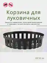 Хром корзина для луковичных круглая, квадратная, защита от вредителей, уход за растениями