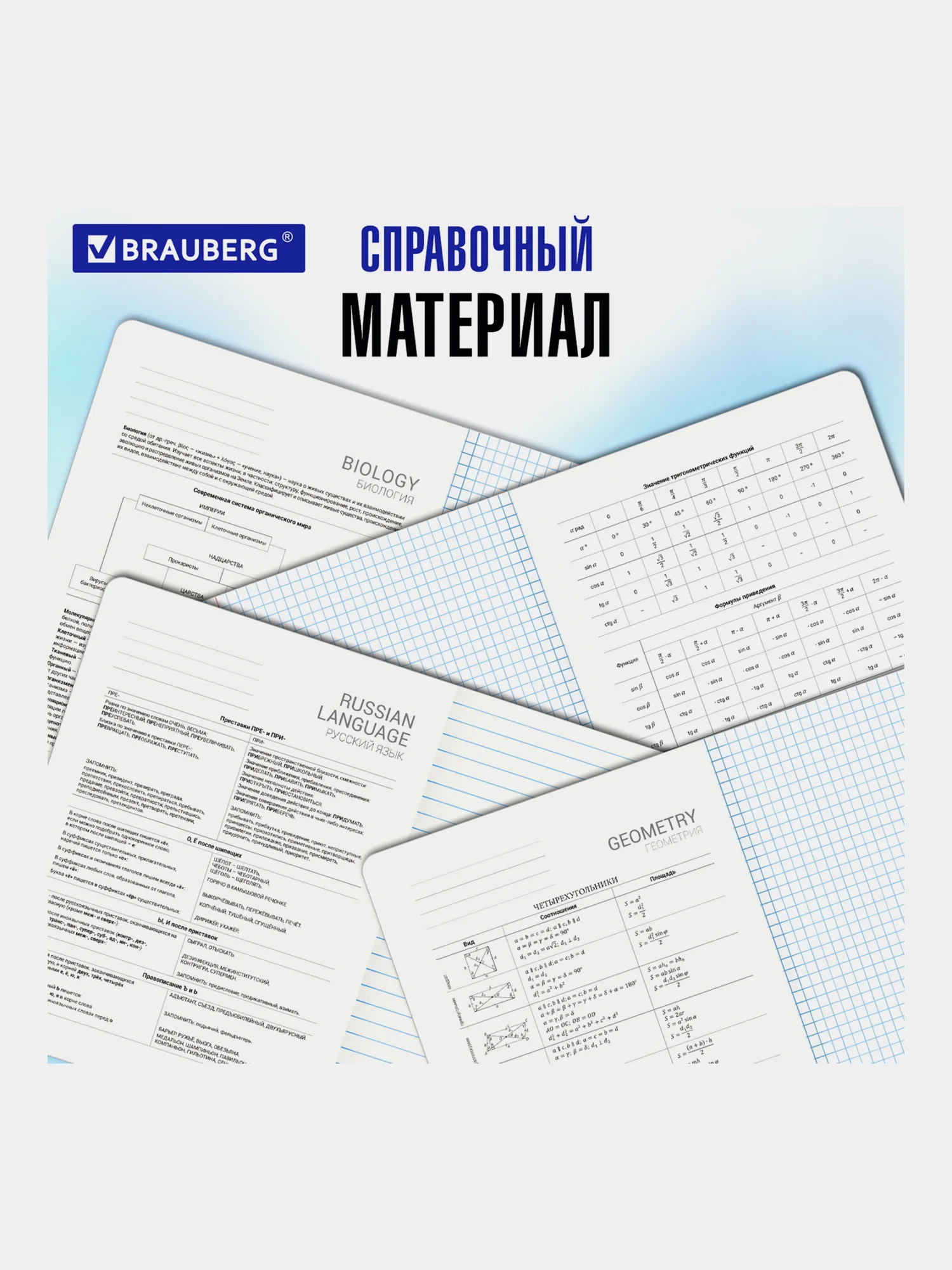 Предметные тетради 48 л набор A5 в клетку и линейку 12 штук, Brauberg Liquid Marble
