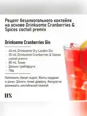 Кордиал основа Drinksome Cranberries & Spices, 700 мл