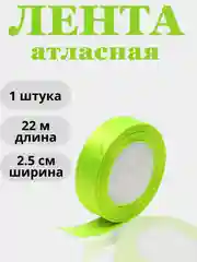 Разноцветный лента атласная 2,5см х 22м