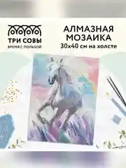 Алмазная мозаика ТРИ СОВЫ "Белая лошадь", 30х40 см, холст