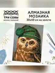 Алмазная мозаика Три совы "Сова", холст, картонная коробка с пластиковой ручкой, 30х40 см