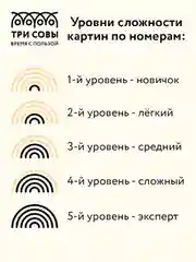 Картина по номерам на холсте ТРИ СОВЫ "Балерина", 30х40 см, с поталью, красками и кистями