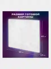 Картина по номерам Остров Сокровищ цветы Гладиолусы, 663275, на холсте на подрамнике 40х50