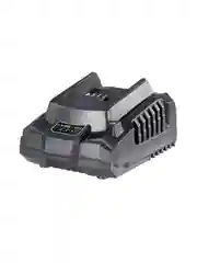 Зарядное устройство Ingco FCLI2001