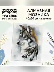 Алмазная мозаика ТРИ СОВЫ "Волчья мудрость", 40х50 см, холст