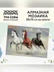 Алмазная мозаика ТРИ СОВЫ "Тройка лошадей", 50х70 см, холст