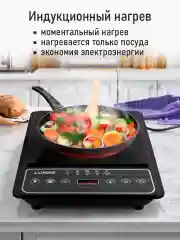 Черный электрическая индукционная безимпульсная плитка LUMME LU-HP3648A /максимальный вес до 15кг