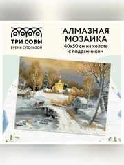 Алмазная мозаика Три совы "Зима в деревне", холст на деревянном подрамнике, 40х50 см