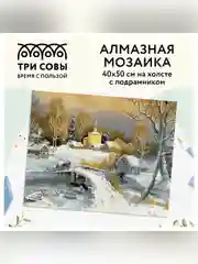 Алмазная мозаика Три совы "Зима в деревне", холст на деревянном подрамнике, 40х50 см