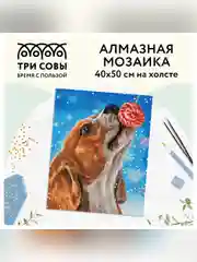 Алмазная мозаика Три совы "Сладкая жизнь", холст, 40х50 см