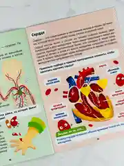 Познавательная книжка с наклейками для малышей Наклейки Как устроено моё тело 16 стр Игра