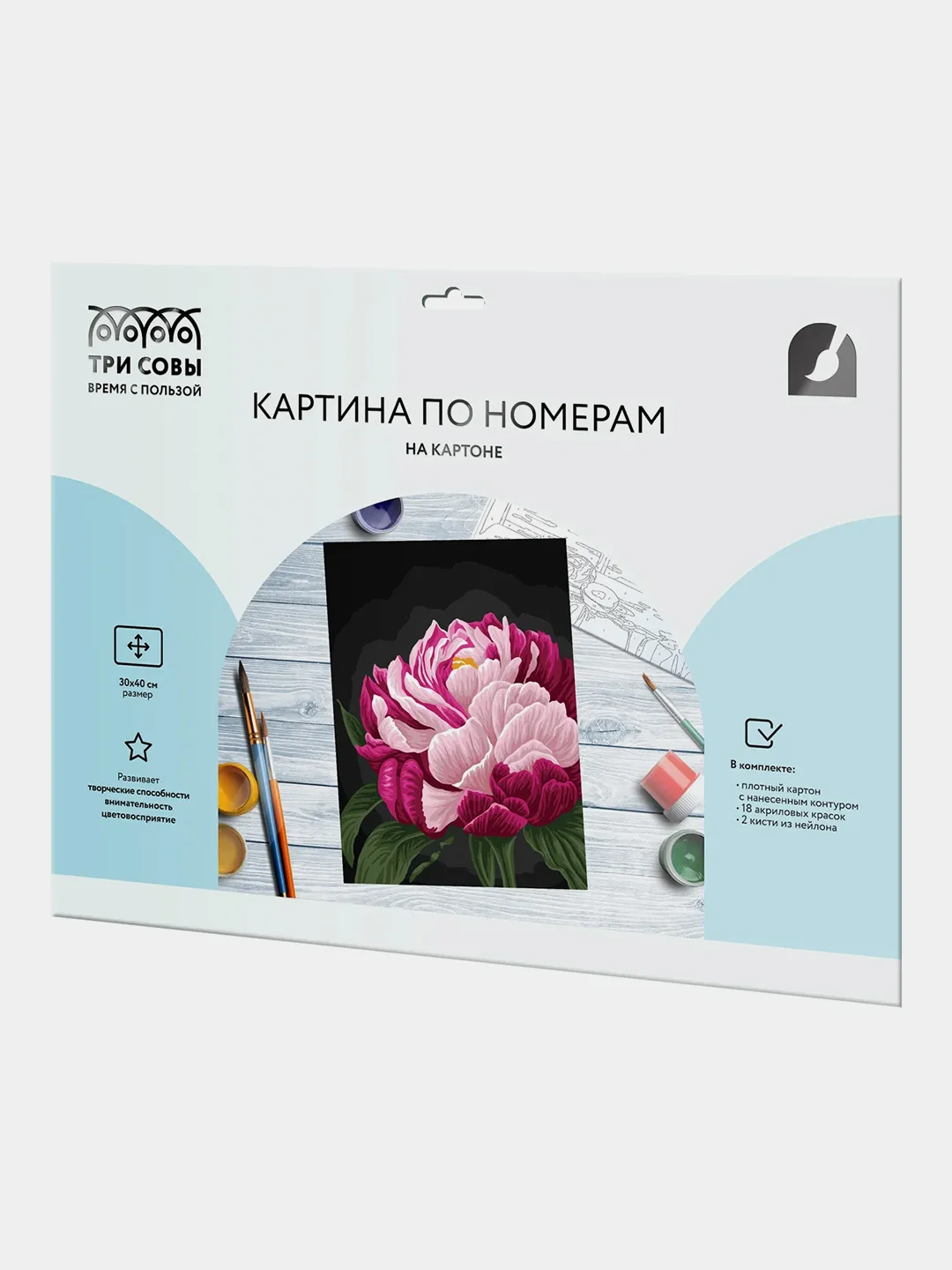 Картина по номерам на картоне Три совы "Цвет пиона", с красками и кистями, 30х40 см