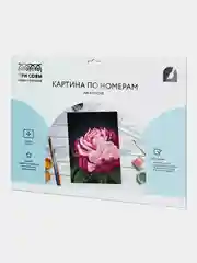 Картина по номерам на картоне Три совы "Цвет пиона", с красками и кистями, 30х40 см