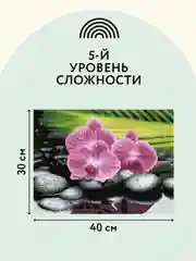 Алмазная мозаика Три совы "Орхидеи на камнях", холст, 30х40 см