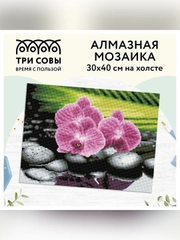 Алмазная мозаика Три совы "Орхидеи на камнях", холст, 30х40 см
