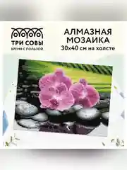 Алмазная мозаика Три совы "Орхидеи на камнях", холст, 30х40 см