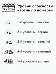 Картина по номерам Три совы "Яркий французский бульдог", с красками и кистями, 40х50 см