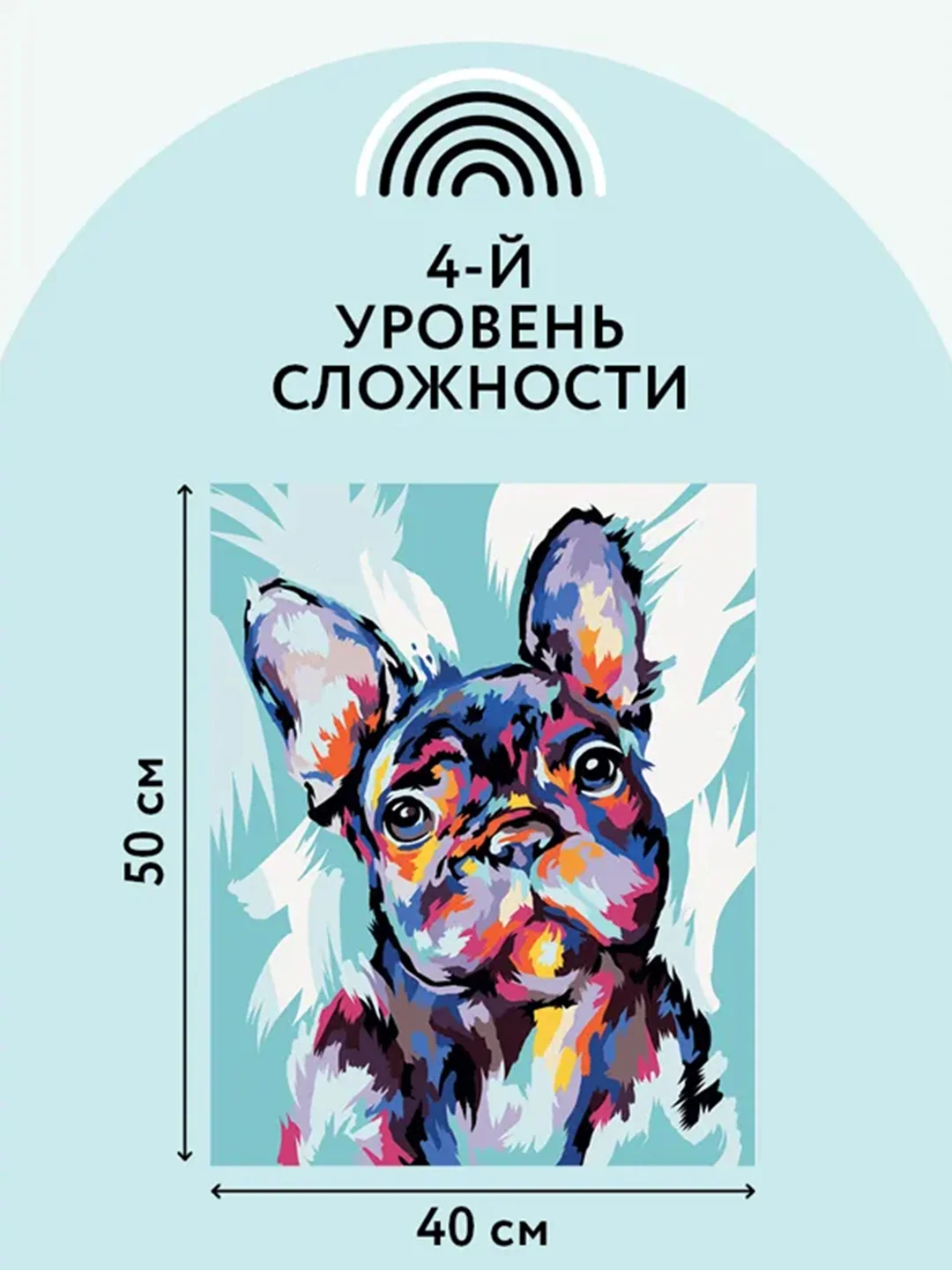Картина по номерам Три совы "Яркий французский бульдог", с красками и кистями, 40х50 см