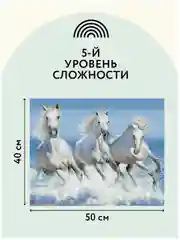 Алмазная мозаика Три совы "Белая тройка лошадей", холст на деревянном подрамнике, 40х50 см
