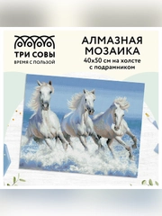 Алмазная мозаика Три совы "Белая тройка лошадей", холст на деревянном подрамнике, 40х50 см