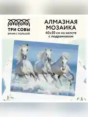 Алмазная мозаика Три совы "Белая тройка лошадей", холст на деревянном подрамнике, 40х50 см