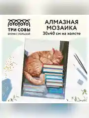 Алмазная мозаика Три совы "Дневной сон", холст, 30х40 см