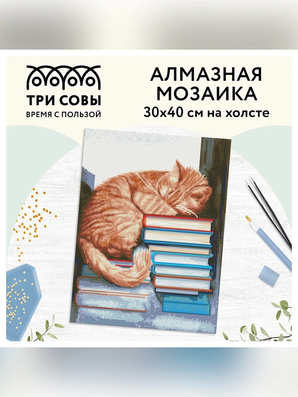 Алмазная мозаика Три совы "Дневной сон", холст, 30х40 см