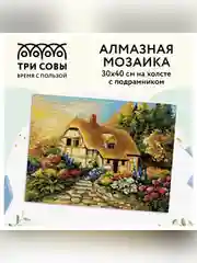 Алмазная мозаика Три совы "Сказочная избушка", холст на деревянном подрамнике, 30х40 см