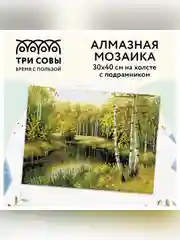 Алмазная мозаика Три совы "Летний пейзаж", холст на деревянном подрамнике, 30х40 см
