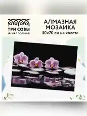 Алмазная мозаика Три совы "Орхидеи", холст, 50х70 см