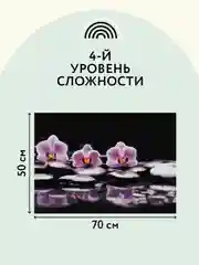 Алмазная мозаика Три совы "Орхидеи", холст, 50х70 см