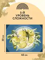Картина по номерам на холсте Три совы "Лимоны", с поталью, красками и кистями, 30х40 см