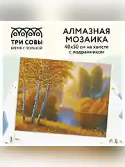 Алмазная мозаика ТРИ СОВЫ "Осень", холст на деревянном подрамнике, 40х50 см