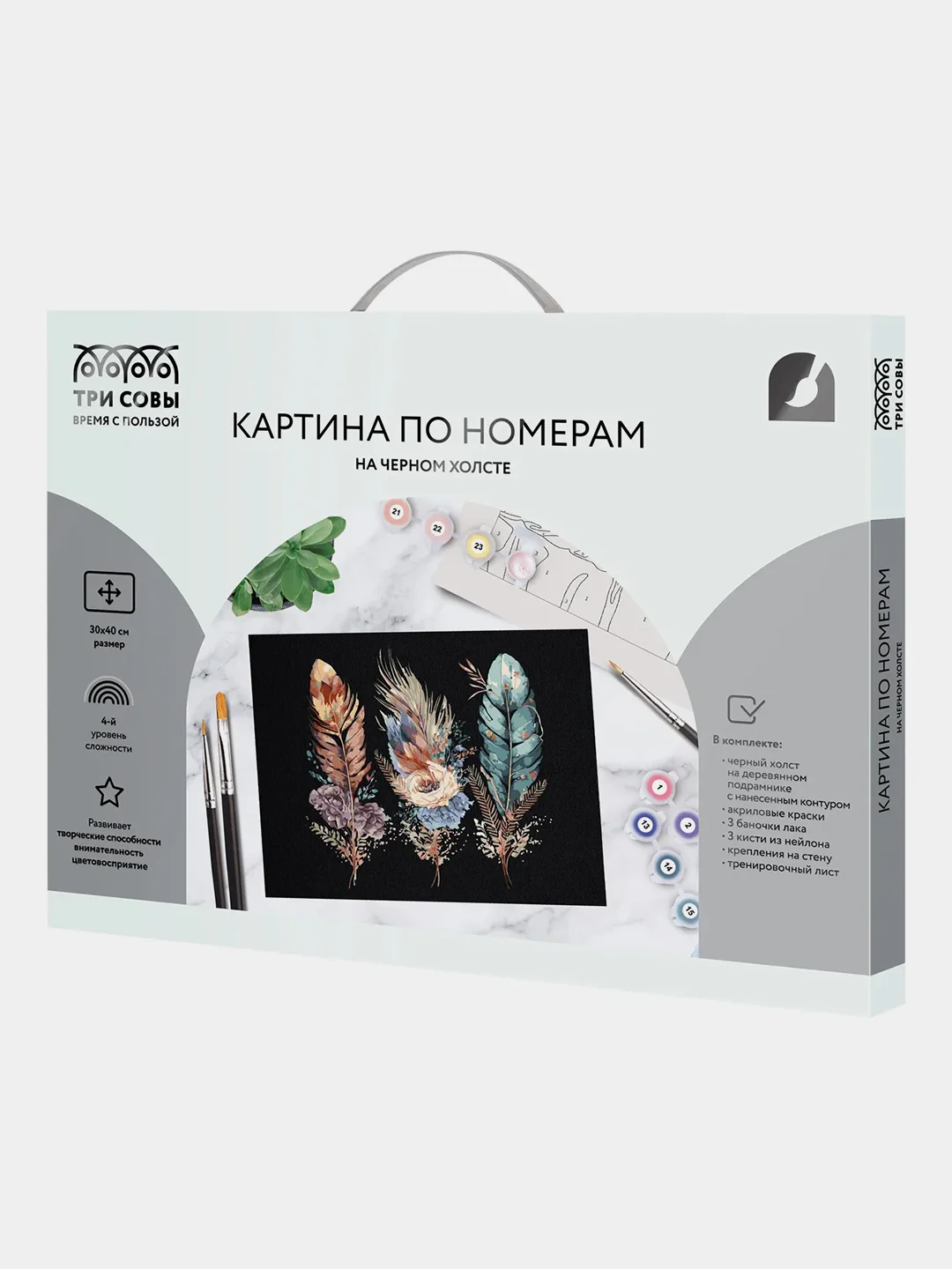 Картина по номерам на черном холсте ТРИ СОВЫ "Легкость пера", c красками, 30х40 см