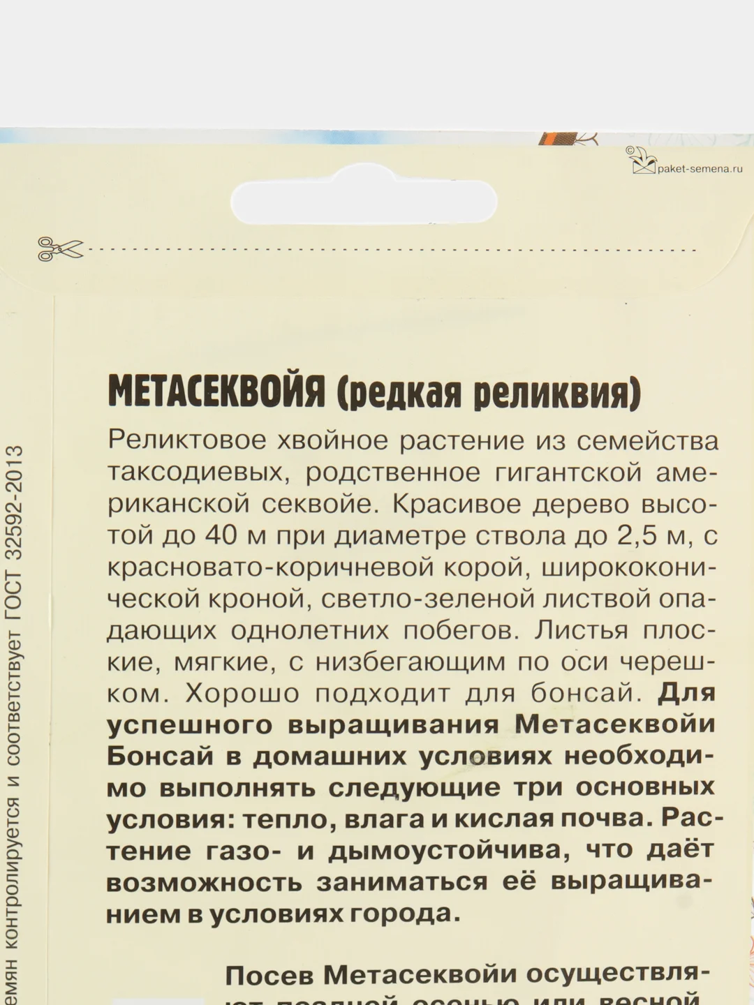 Метасеквойя (семена)