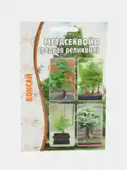 Метасеквойя (семена)