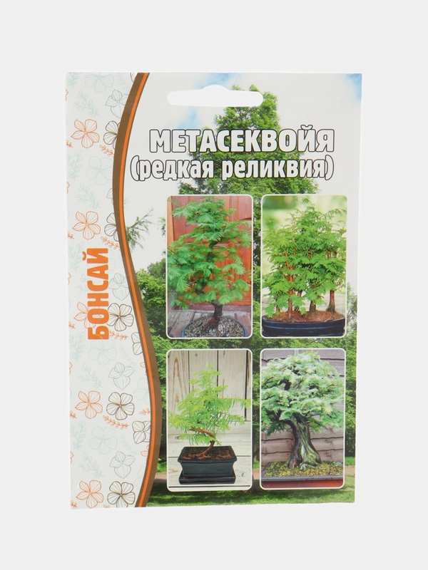 Метасеквойя (семена)